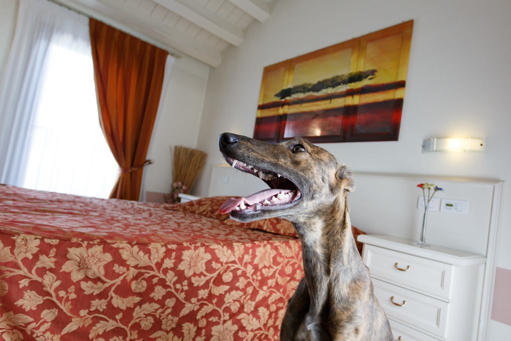 Sweet Home Treviso Esterno foto